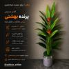تصویر  پرنده بهشتی