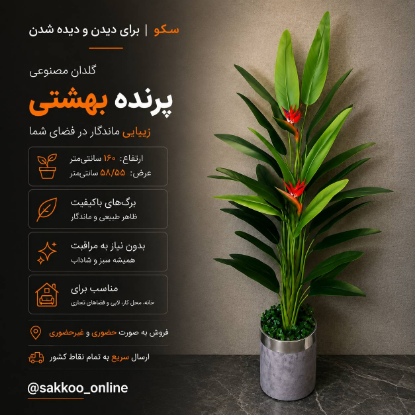 تصویر  پرنده بهشتی